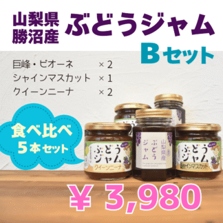 山梨県のぶどうジャム　食べ比べセットB